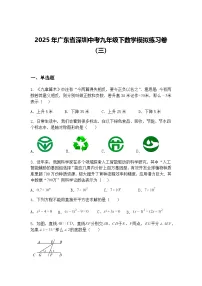 2025年广东省深圳中考九年级下数学模拟练习卷（三）（含答案解析）