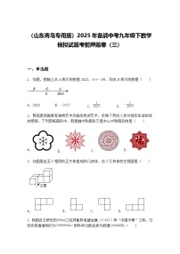 （山东青岛专用版）2025年备战中考九年级下数学模拟试题考前押题卷（三）（含答案解析）