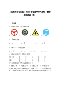 （山东青岛专用版）2025年备战中考九年级下数学模拟试题（五）（含答案解析）