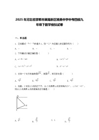 2025年河北省邯郸市冀南新区精英中学中考四模九年级下数学模拟试卷（含答案解析）