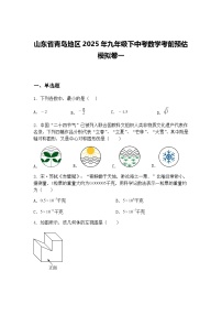 山东省青岛地区2025年九年级下中考数学考前预估模拟卷一（含答案解析）