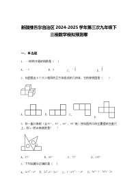 新疆维吾尔自治区2024-2025学年第三次九年级下三模数学模拟预测卷（含答案解析）