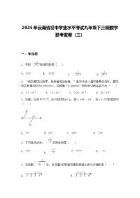2025年云南省初中学业水平考试九年级下三模数学联考密卷（三）（含答案解析）