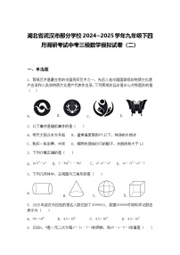 湖北省武汉市部分学校2024~2025学年九年级下四月调研考试中考三模数学模拟试卷（二）（含答案解析）