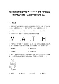 湖北省武汉市部分学校2024~2025学年下学期四月调研考试九年级下三模数学模拟试卷（三）（含答案解析）
