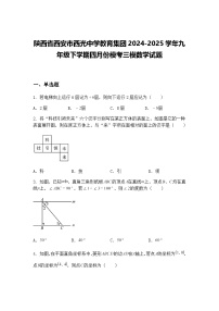 陕西省西安市西光中学教育集团2024-2025学年九年级下学期四月份模考三模数学试题（含答案解析）