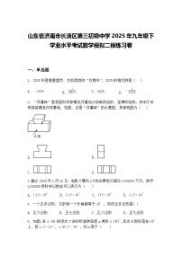 山东省济南市长清区第三初级中学2025年九年级下学业水平考试数学模拟二模练习卷（含答案解析）