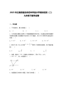 2025年云南省临沧市初中学业水平模拟检测（二）九年级下数学试卷（含答案解析）
