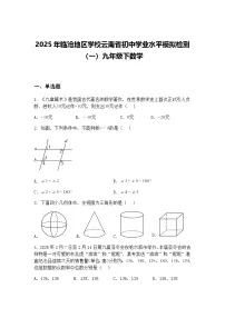 2025年临沧地区学校云南省初中学业水平模拟检测（一）九年级下数学（含答案解析）