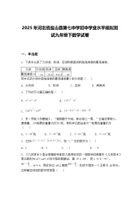 2025年河北省盐山县第七中学初中学业水平模拟测试九年级下数学试卷（含答案解析）