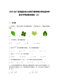 2025年广东省韶关市九年级下数学部分学校初中学业水平考试联合模拟（三）（含答案解析）