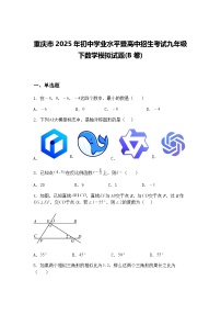 重庆市2025年初中学业水平暨高中招生考试九年级下数学模拟试题(B卷)（含答案解析）