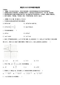 鹤壁市2025年中考数学模试卷含解析