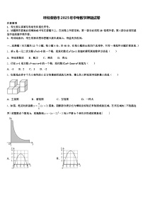 呼和浩特市2025年中考数学押题试卷含解析
