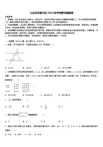 七台河市新兴区2025年中考数学猜题卷含解析