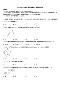 2024-2025学年芜湖县中考二模数学试题含解析
