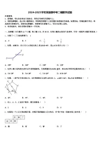2024-2025学年芜湖县中考二模数学试题含解析