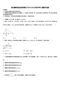 延边朝鲜族自治州珲春市2024-2025学年中考三模数学试题含解析