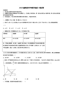 2025届禹城市中考数学最后一模试卷含解析
