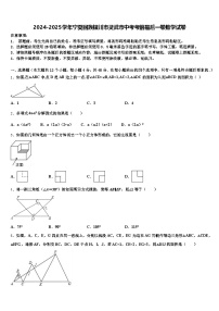 2024-2025学年宁夏回族银川市灵武市中考考前最后一卷数学试卷含解析