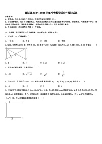 襄城县2024-2025学年中考数学适应性模拟试题含解析