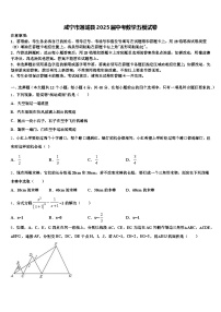 咸宁市通城县2025届中考数学五模试卷含解析