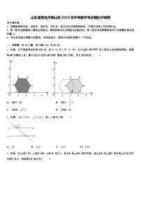 山东省青岛市崂山区2025年中考数学考试模拟冲刺卷含解析