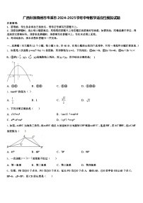 广西壮族梧州市岑溪市2024-2025学年中考数学适应性模拟试题含解析