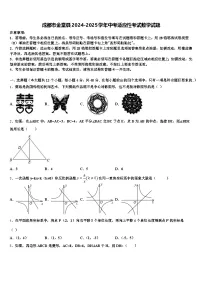 成都市金堂县2024-2025学年中考适应性考试数学试题含解析