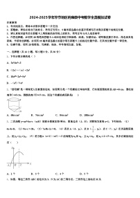 2024-2025学年毕节地区纳雍县中考数学全真模拟试卷含解析