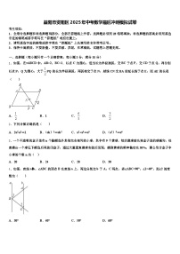益阳市资阳区2025年中考数学最后冲刺模拟试卷含解析