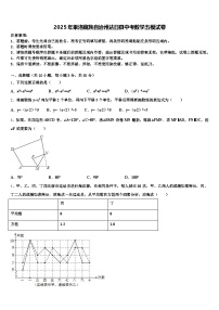 2025年果洛藏族自治州达日县中考数学五模试卷含解析