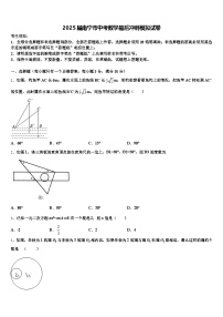 2025届南宁市中考数学最后冲刺模拟试卷含解析