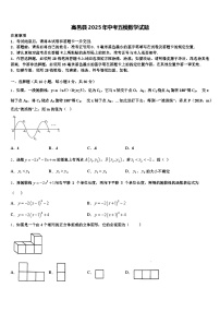 高邑县2025年中考五模数学试题含解析