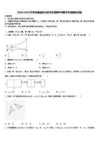 2024-2025学年河南省驻马店市正阳县中考数学全真模拟试题含解析