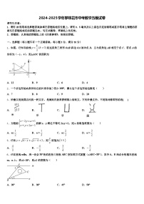 2024-2025学年攀枝花市中考数学五模试卷含解析