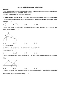 2025年福州市闽清县中考二模数学试题含解析