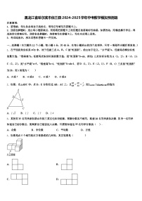 黑龙江省哈尔滨市依兰县2024-2025学年中考数学模拟预测题含解析