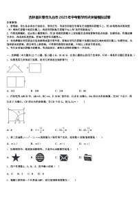 吉林省长春市九台市2025年中考数学对点突破模拟试卷含解析