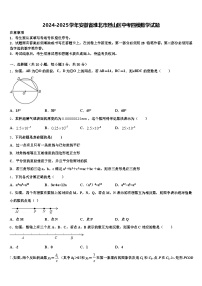 2024-2025学年安徽省淮北市烈山区中考四模数学试题含解析