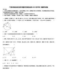 广西壮族自治区百色市隆林各族自治县2025年中考二模数学试题含解析