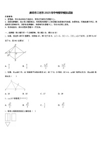 廊坊市三河市2025年中考数学模拟试题含解析