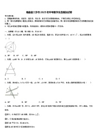 海南省三沙市2025年中考数学全真模拟试卷含解析