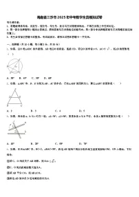 海南省三沙市2025年中考数学全真模拟试卷含解析