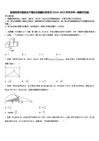 新疆维吾尔新疆生产建设兵团图木舒克市2024-2025学年中考一模数学试题含解析