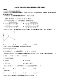 2025年河源市紫金县中考考前最后一卷数学试卷含解析