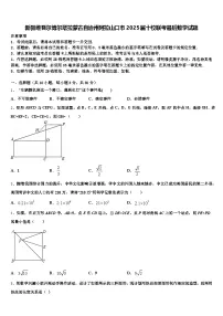 新疆维吾尔博尔塔拉蒙古自治州阿拉山口市2025届十校联考最后数学试题含解析