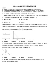 庆阳市2025届初中数学毕业考试模拟冲刺卷含解析