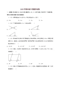 【中考数学】2025年贵州省中考适应性模拟试卷（含解析）