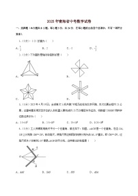 【中考数学】2025年青海省中考适应性模拟试卷（含解析）